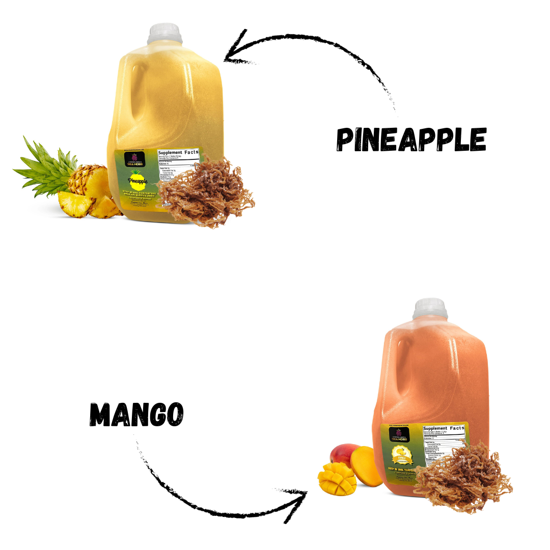 The 2 Sea Moss Gallon Flavors Bundle