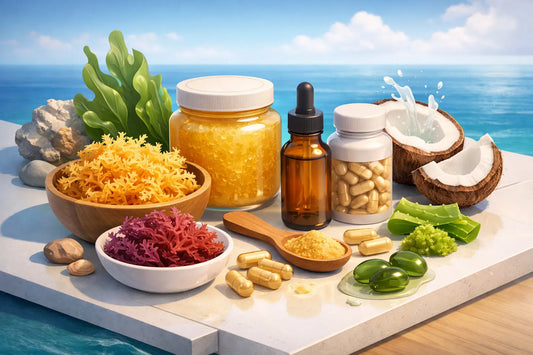 Best Sea Moss for Health Benefits