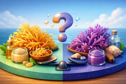 Which Sea Moss Is Better for You?