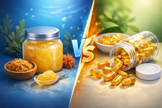 Sea Moss Gel vs Capsules: Which Wins?
