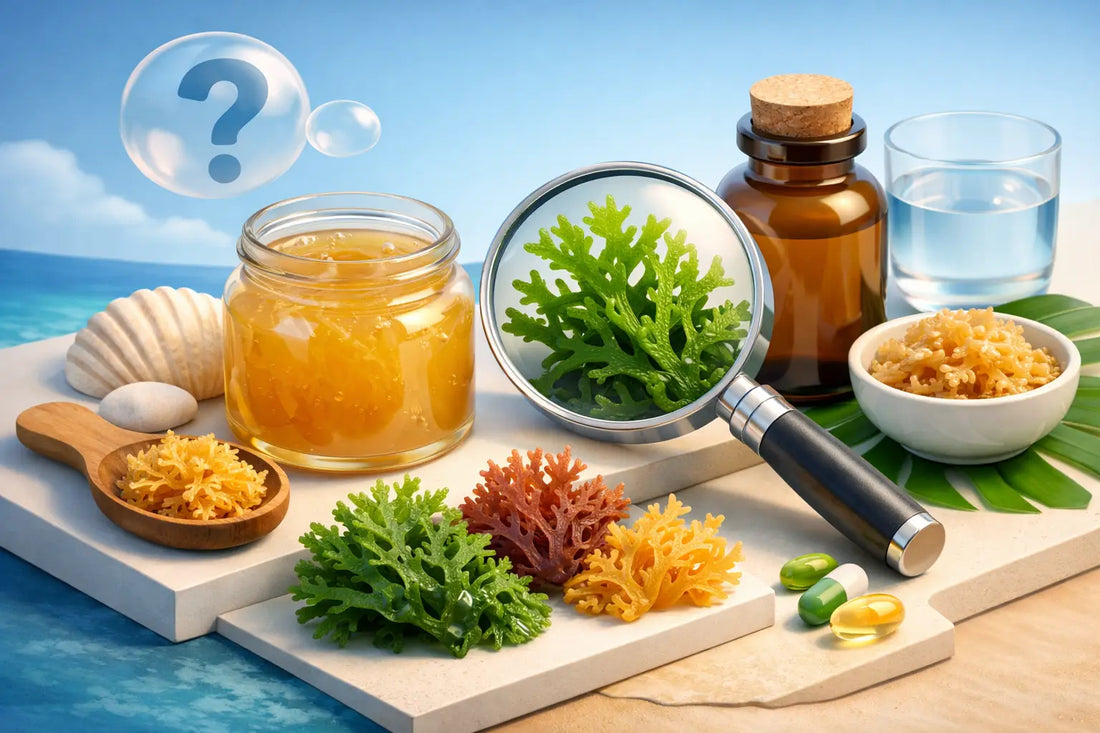 Is Sea Moss Legit? What You Should Know