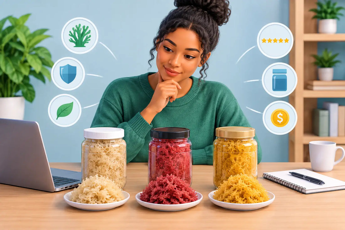 How to Compare Sea Moss Brands Before You Buy