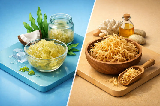 Fresh Sea Moss Versus Dried: Which Fits You?