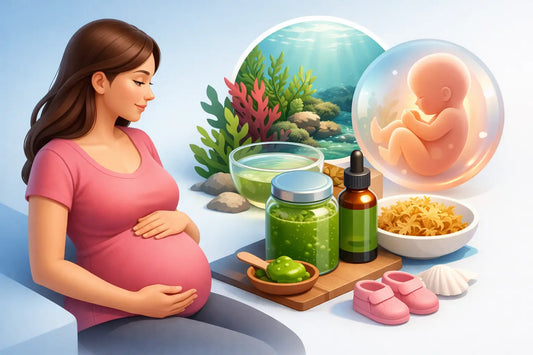 Is Sea Moss Pregnancy Safe? What Moms Should Know