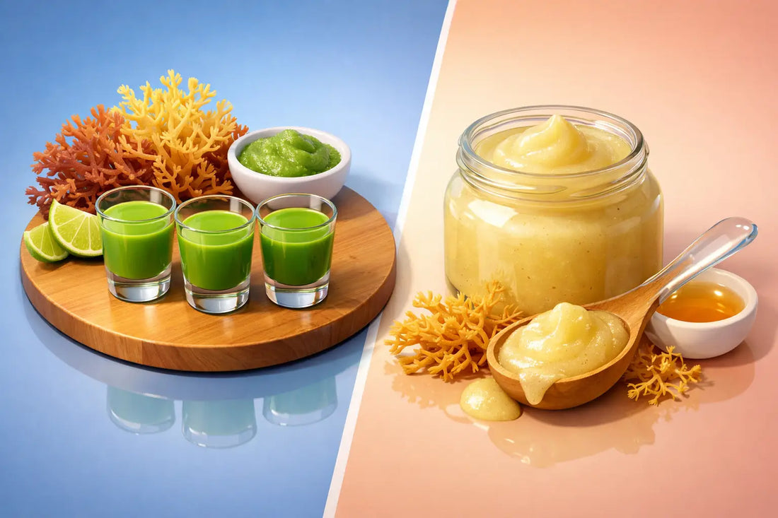 Sea Moss Shots vs Gel: Which Fits Best?