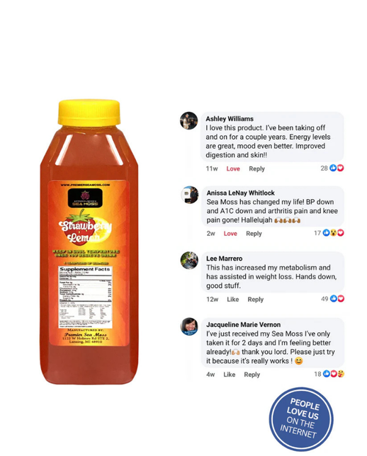 Sea Moss Lemonade - 12 oz