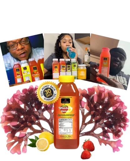 Sea Moss Lemonade - 12 oz