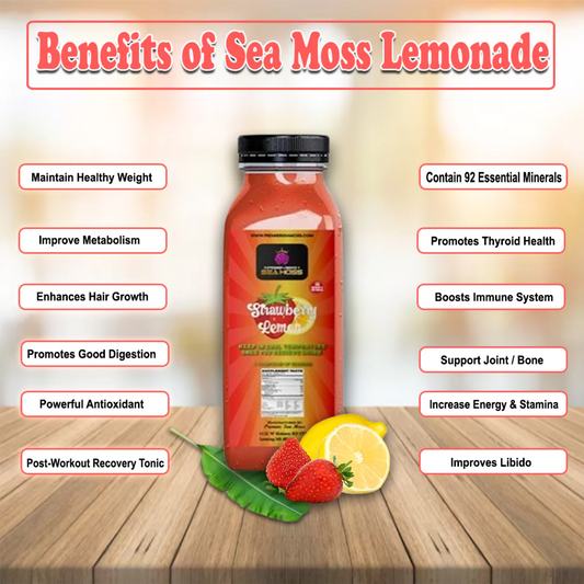 Sea Moss Lemonade - 12 oz