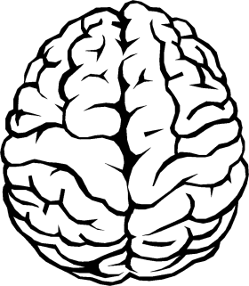 brain-outline-z8s.png__PID:1507fdab-98a1-4f0a-9b2e-bfc1c6c3acde